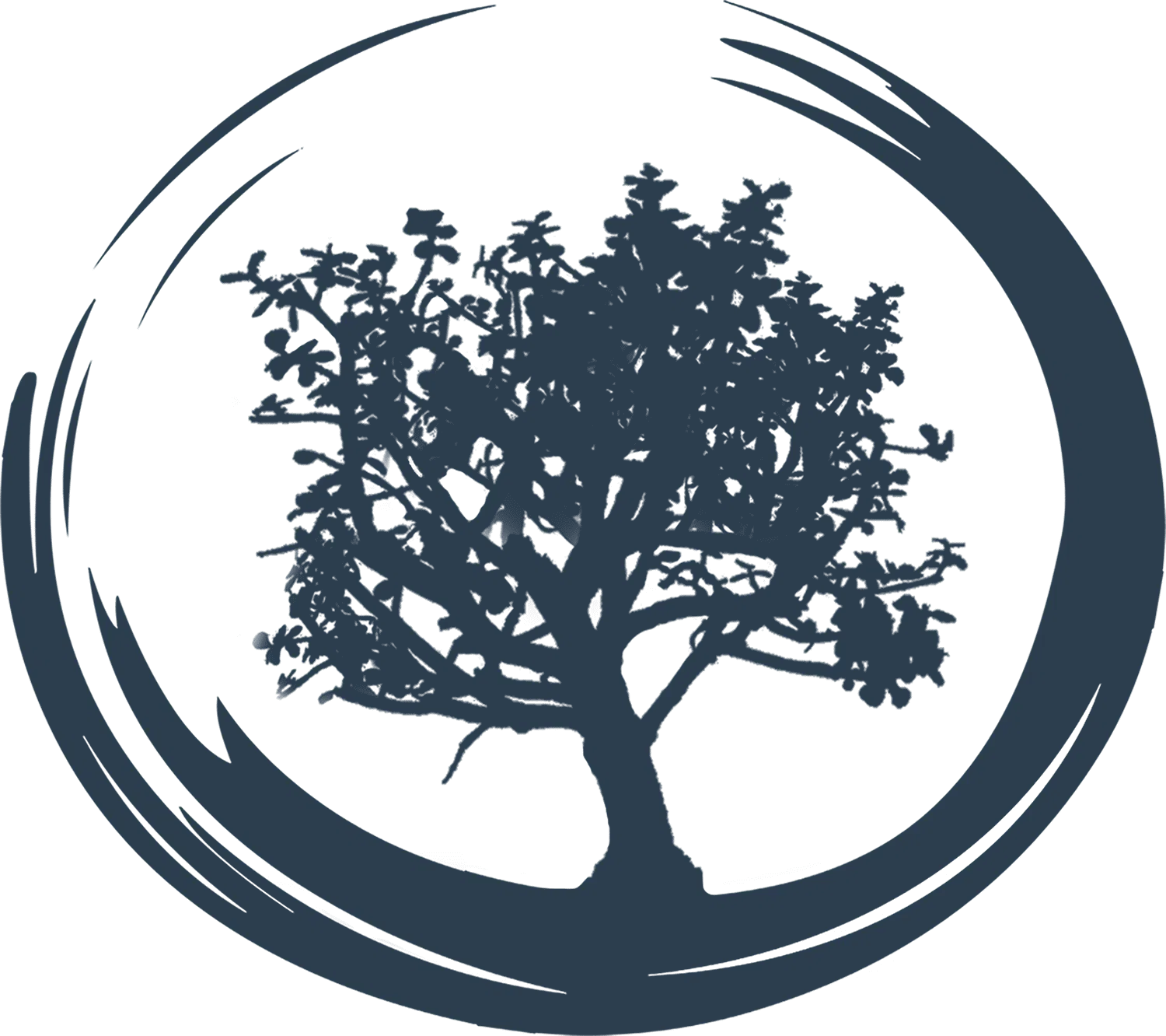 One Tree Healing Center, Ormond Beach